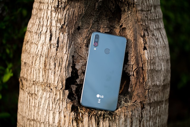 black lg phone on the tree